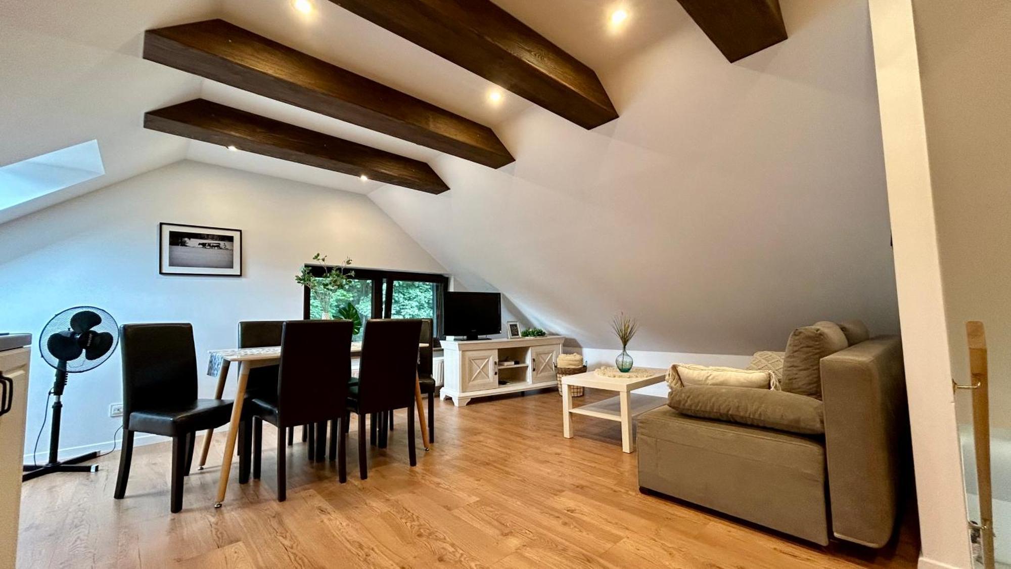 Apartamenty Goszowianka สโตรเนีย ชล็องสเกีย ภายนอก รูปภาพ